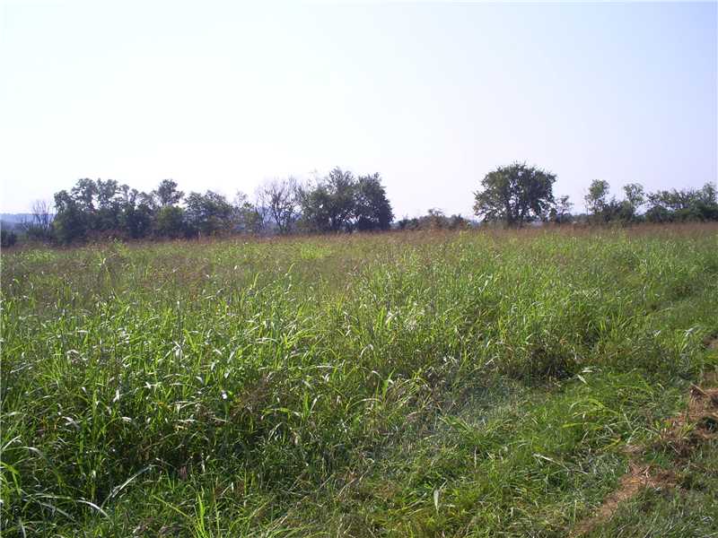 LEVEL 3.55 ACRES WITH 408' OF FRONTAGE ON HWY 16-E IN THE MIDDLE OF ELKINS. CURRENTLY ZONED AGRICULTURAL BUT HAS POTENTIAL FOR COMMERCIAL OR RESIDENTIAL. BANK OWNED. CLOSE TO SCHOOLS AND BUSINESSES.