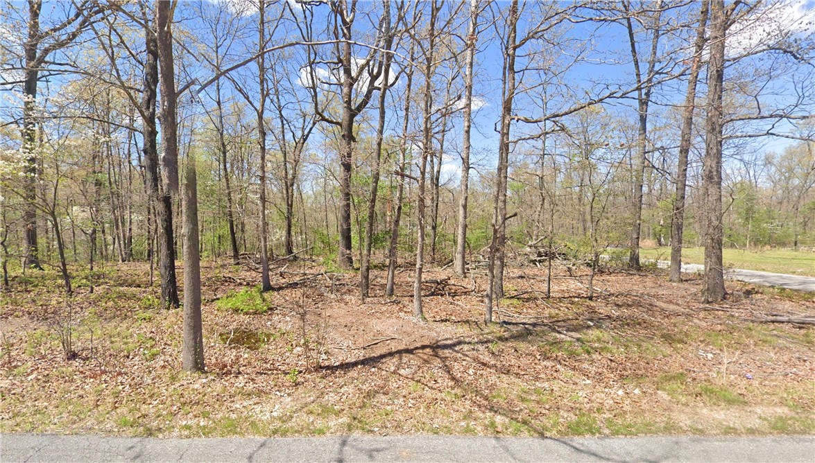 Build your dream home or investment property on this .29-acre lot in Bella Vista! Just 7 minutes to Highlands Golf Course and 10 minutes to trails. Perc test approved for 2-bedroom. Easy access to the interstate and all of Bella Vista’s lakes, parks, and amenities.