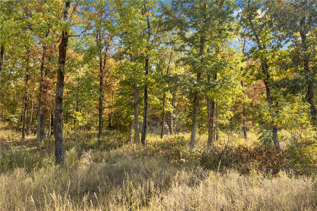Round Mountain Estates - Land