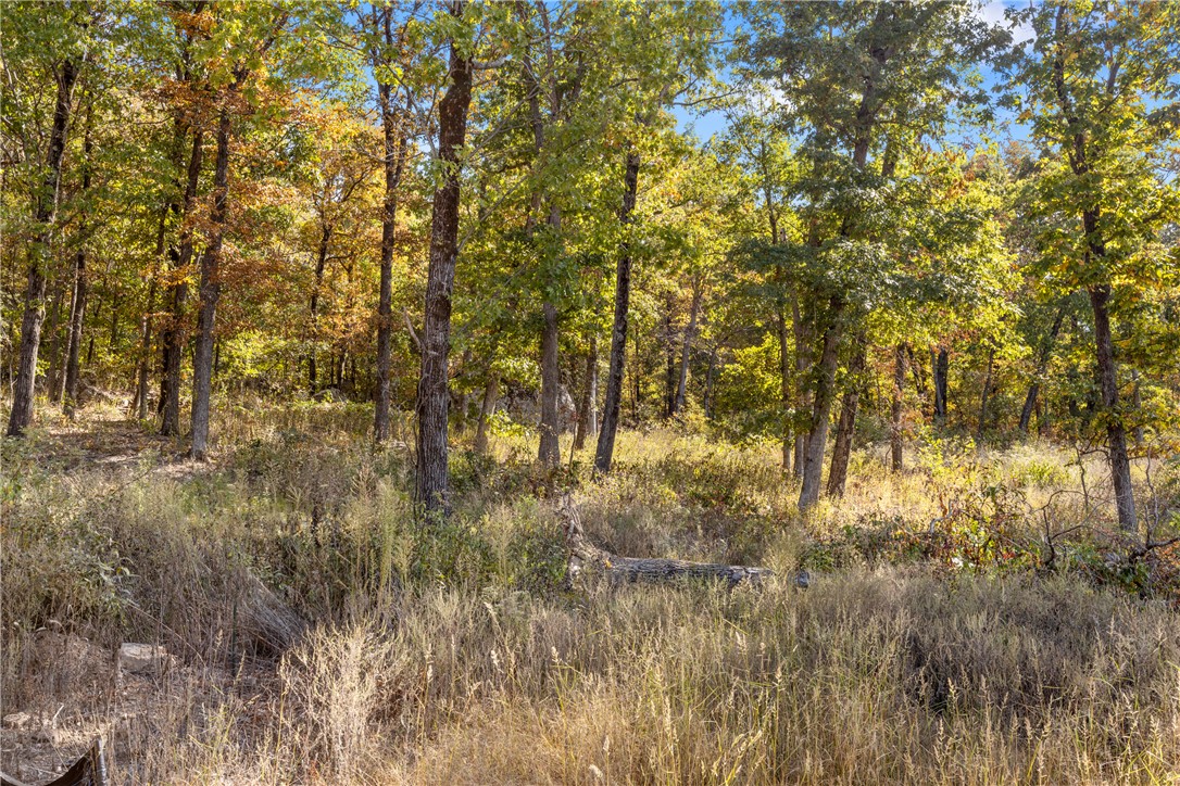 Round Mountain Estates - Land