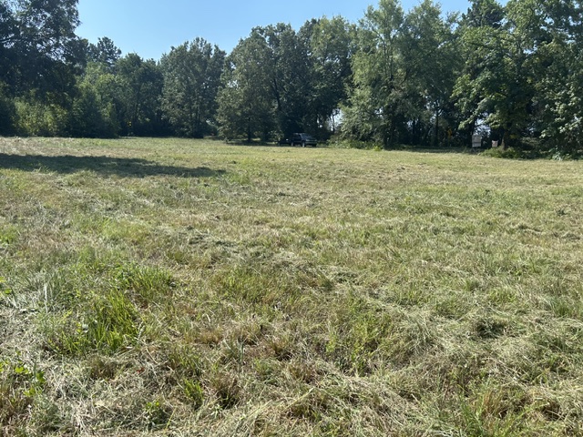 Open level land.  Utilities at road.  Owner will rent land for anything data center needs until it is sold.