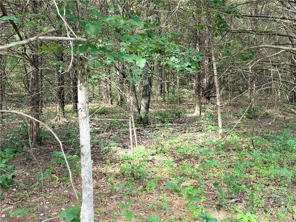 Cleveland Hills Sub Bvv - Land