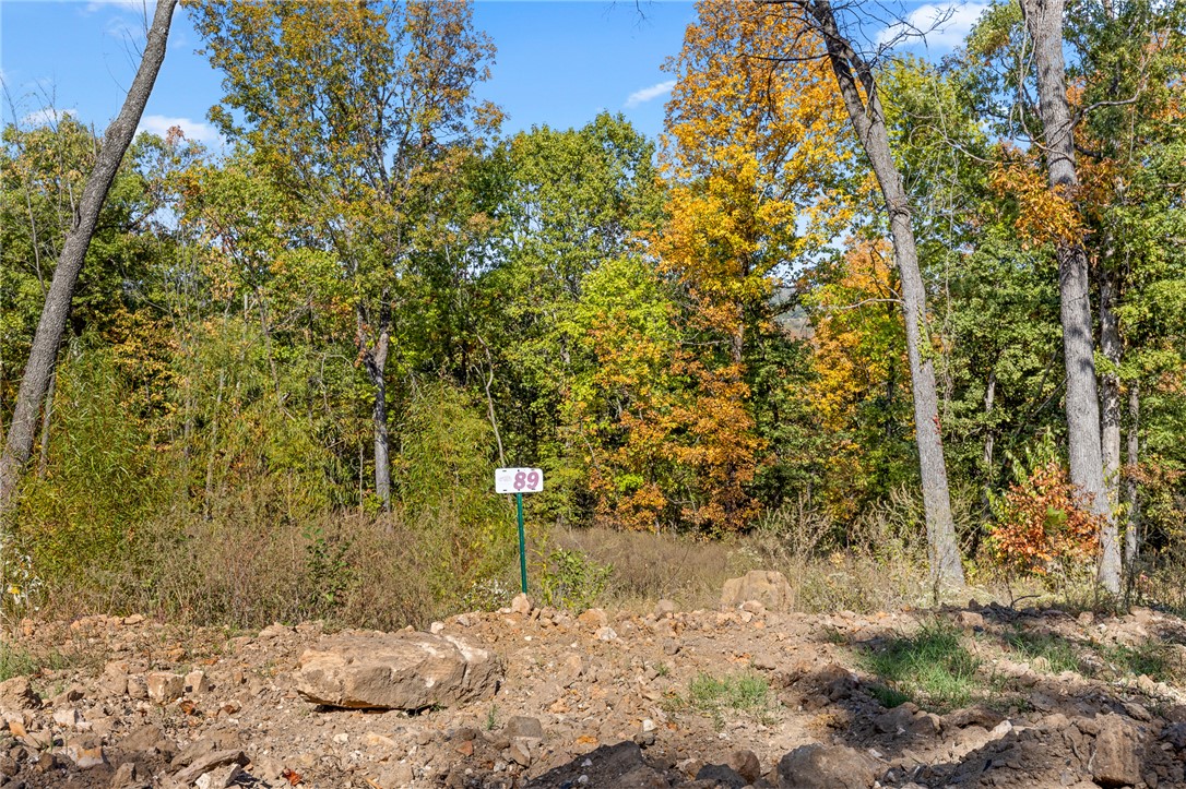 Round Mountain Estates - Land