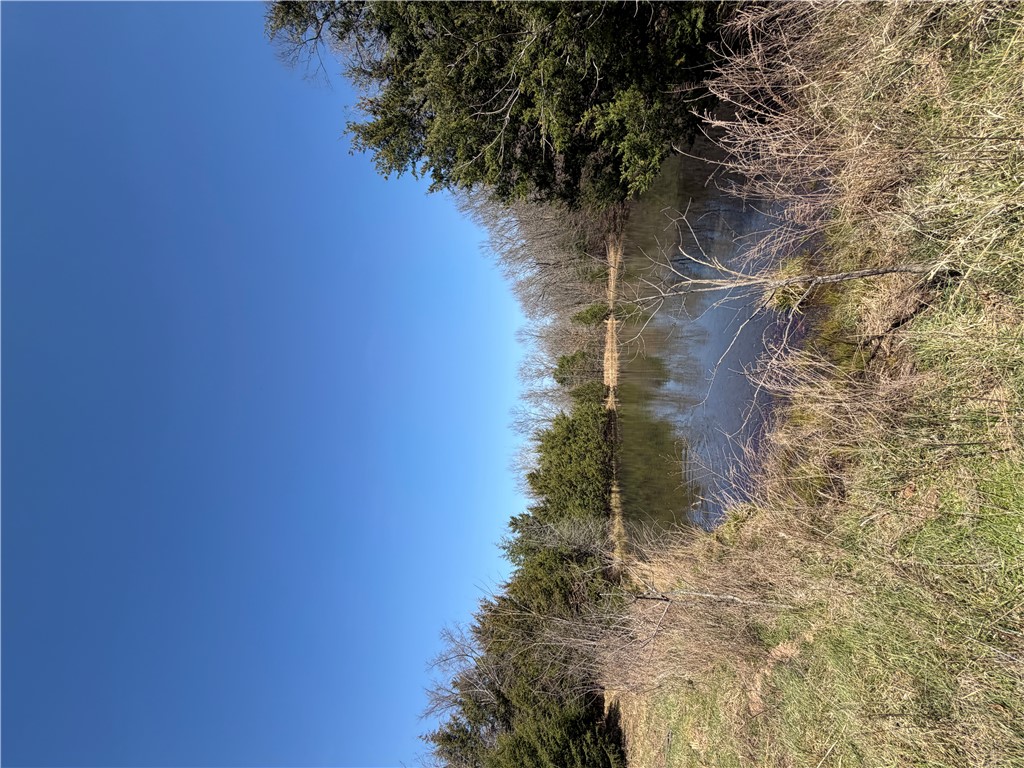 Discover 124+/- acres of scenic, unrestricted land offering a rare combination of natural beauty and recreational opportunity. This property features two ponds, mature woods, and an abundance of wildlife, making it an ideal setting for hunting, exploring, or simply enjoying the outdoors. Multiple natural springs are scattered throughout the property, enhancing the landscape and adding to its unique character. Rolling terrain and elevated areas provide stunning views in several directions, creating potential homesites or peaceful getaway spots. Whether you’re looking for a private retreat, hunting property, or land to make your own, this acreage offers endless possibilities. Buyer to verify all information including acreage, utilities, and intended use