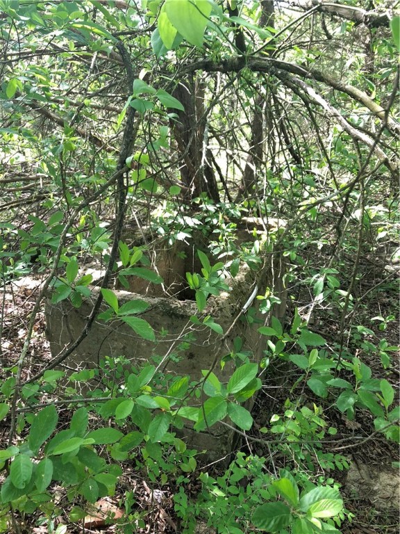 Mossy Oak - Land