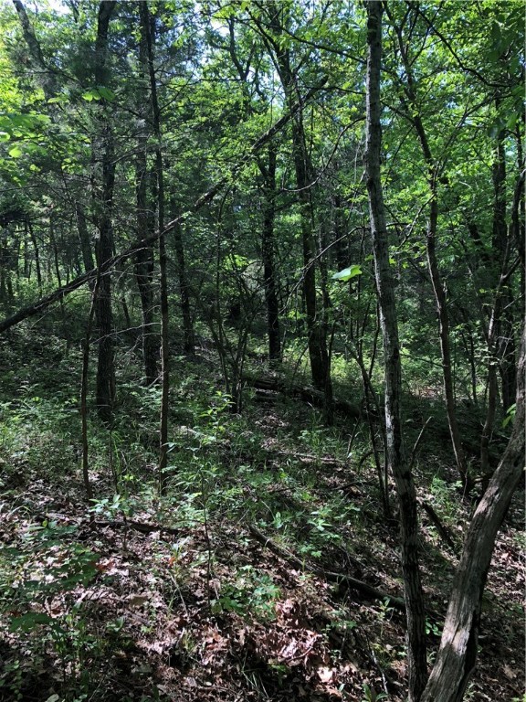 Mossy Oak - Land