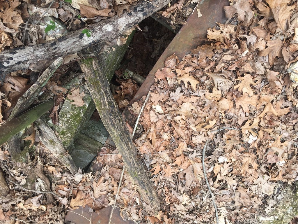 Mossy Oak - Land