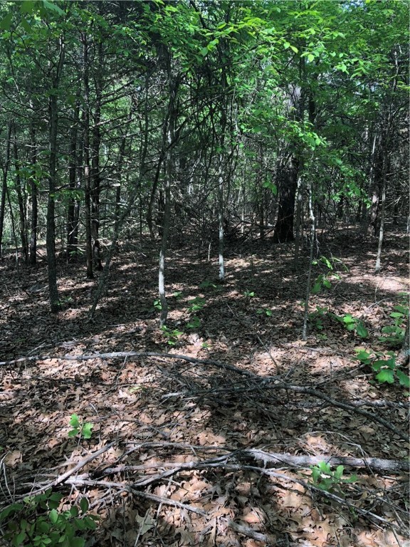 Mossy Oak - Land