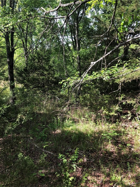Mossy Oak - Land