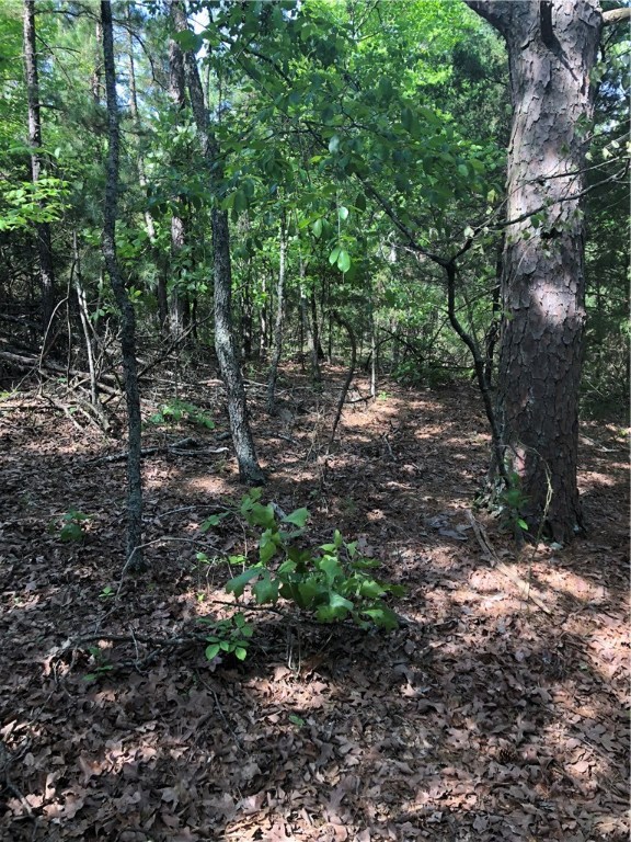 Mossy Oak - Land
