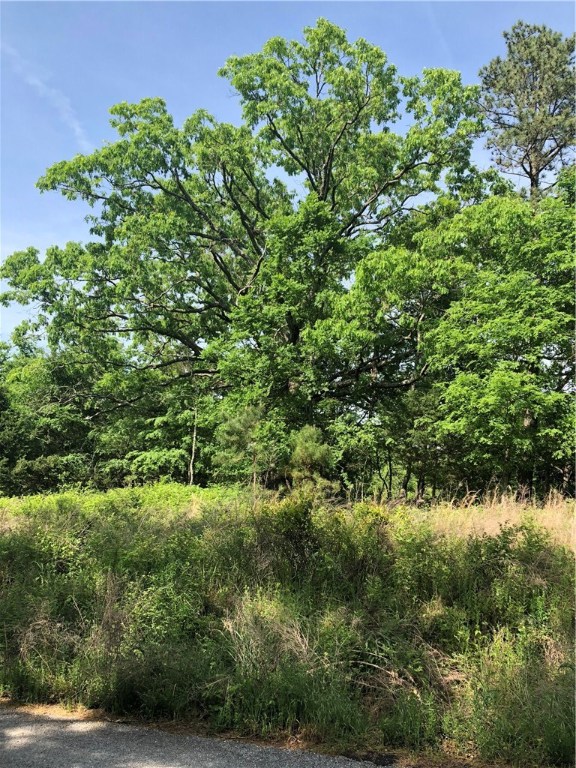 Mossy Oak - Land