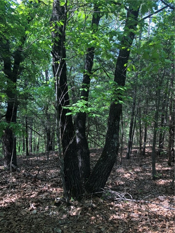 Mossy Oak - Land