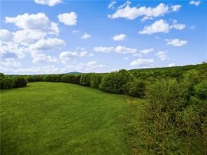 Beautiful opportunity to own approximately 8 scenic acres just off Tuttle Road in Goshen, located a little over a mile from Highway 45 and within the highly desirable Vandergriff school district. This gorgeous property features mature pine trees, a large established level lawn, a beautiful building site with scenic views, a peaceful creek running through the land, and an existing well already on site. Enjoy the perfect blend of privacy, natural beauty, and convenience with nearby access to the new Goshen Park and other local amenities. Whether you are looking to build your dream home, create a private retreat, or invest in Northwest Arkansas land, this property offers endless potential.