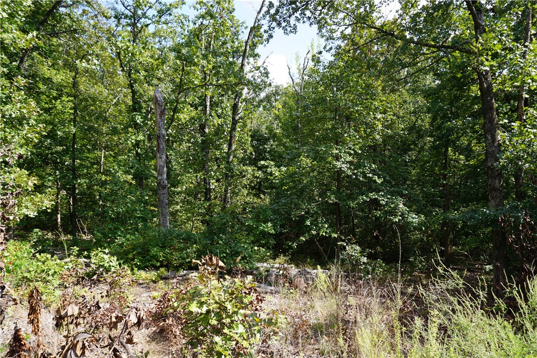 Great building lot in beautiful Bella Vista! Nice newer homes all around, close to Bella Vista's Back 40 mountain-bike trails and only 2 miles to Metfield Recreational Facilities. Better hurry!