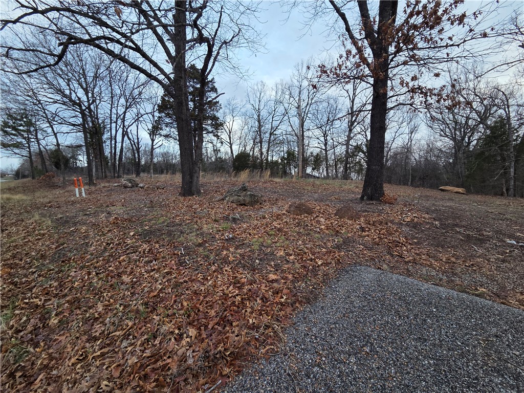 Wyndover Acres #1 - Land