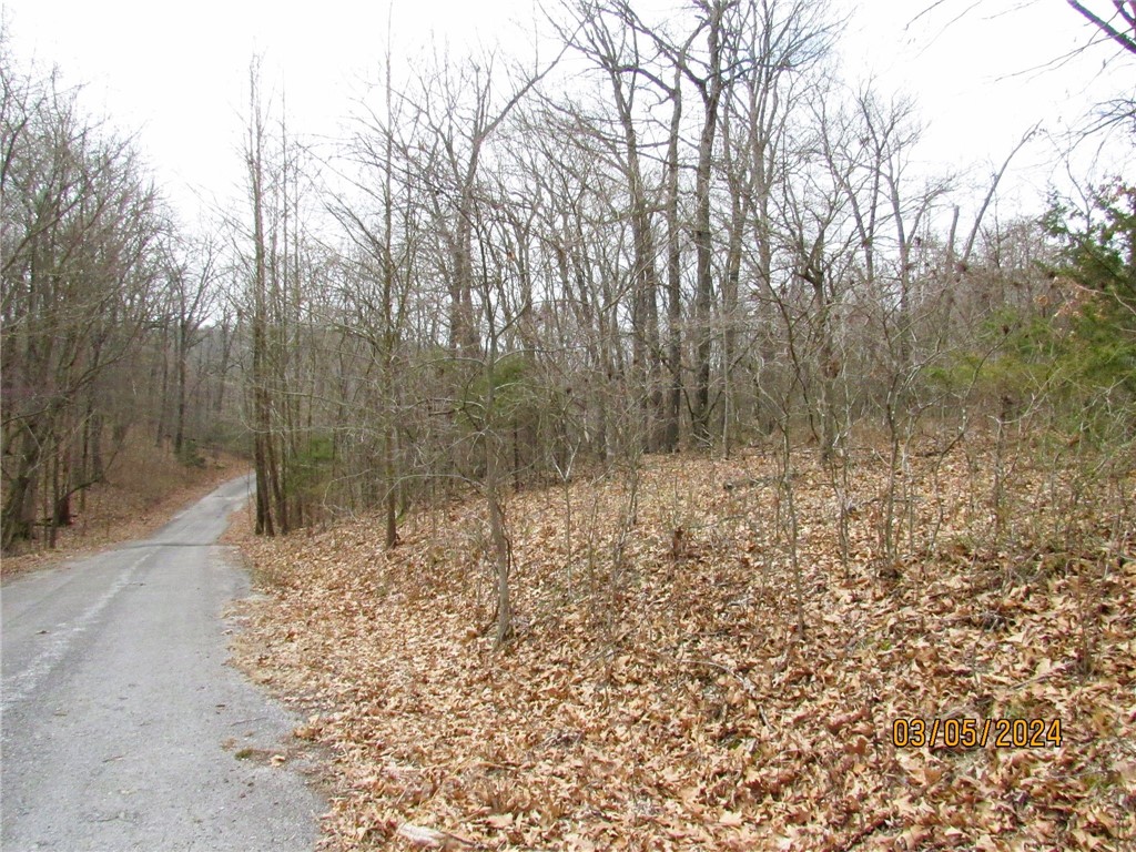 Large beautiful lot with multiple elevated plateaus, above the street level. Great residential lot with possible valley views, perfect for private living while only 30 mins from downtown Rogers