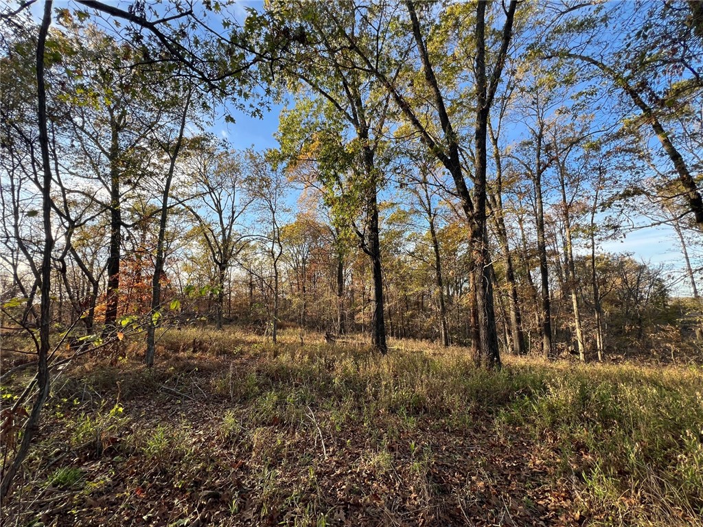 Cardinal Creek Ph 2 Bentonville - Land
