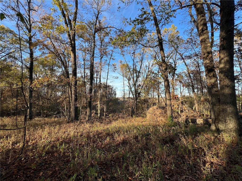 Cardinal Creek Ph 2 Bentonville - Land