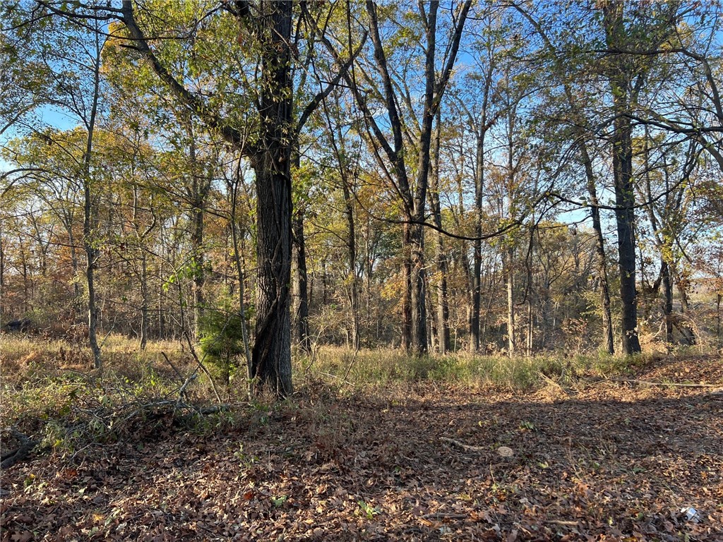 Cardinal Creek Ph 2 Bentonville - Land