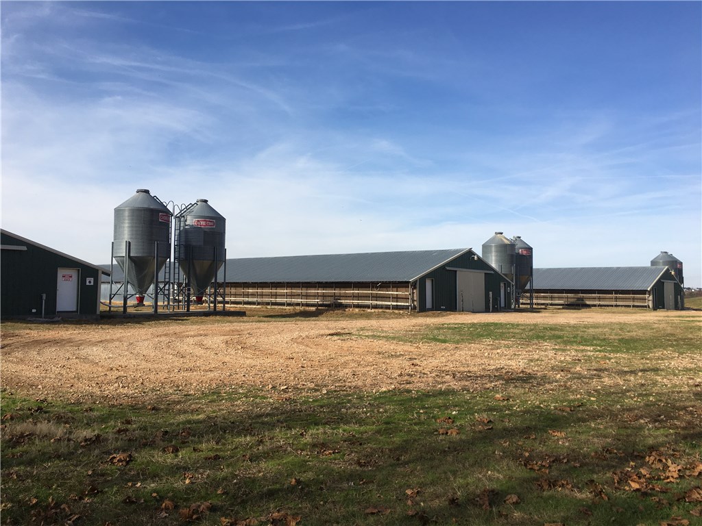 Broilerville - Farm