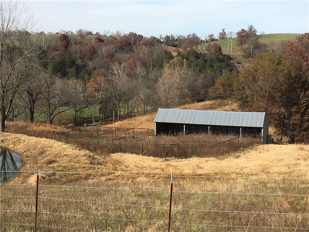 Broilerville - Farm