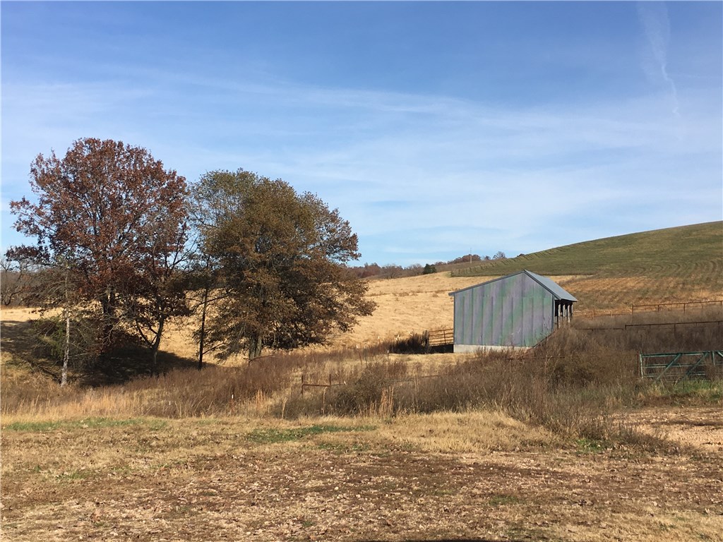 Broilerville - Farm