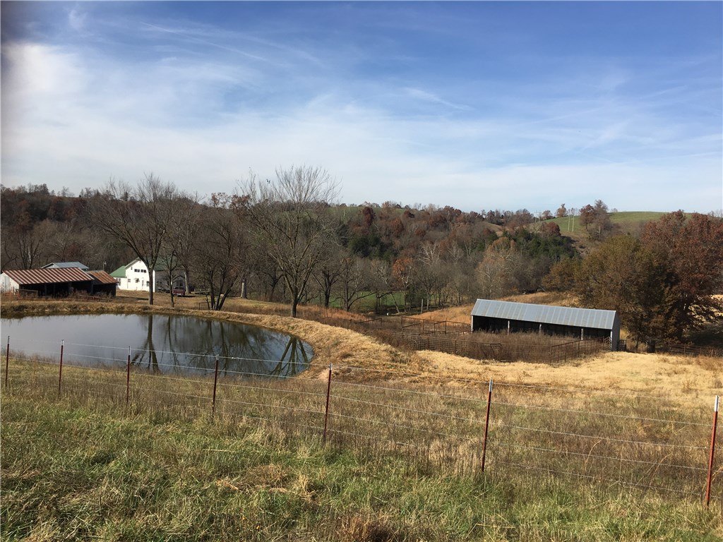 Broilerville - Farm