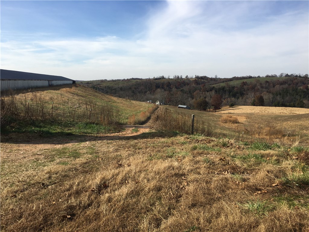 Broilerville - Farm