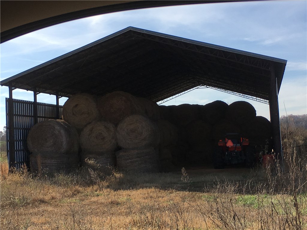 Broilerville - Farm