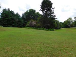 Casey's Playground - Residential