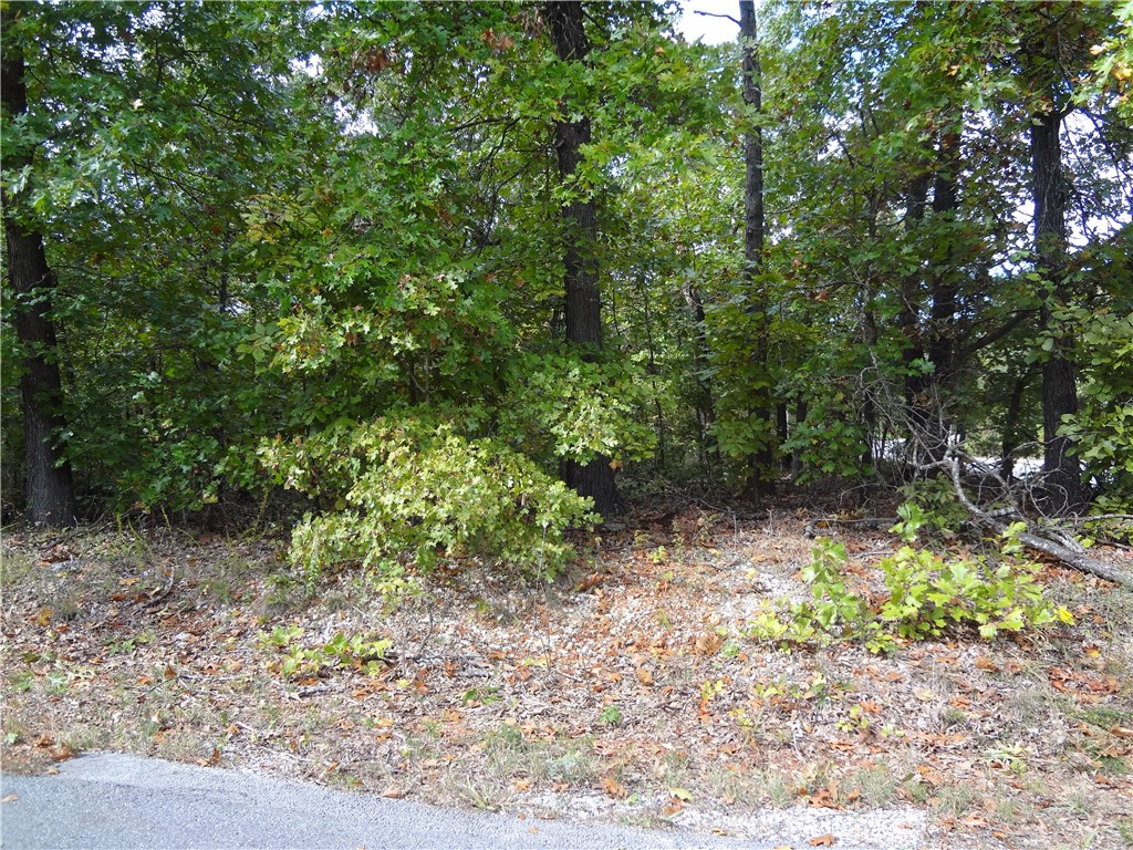 Nice lot with slope for a walk-out basement. Close to Highlands Golf & Lake Loch Lomond.