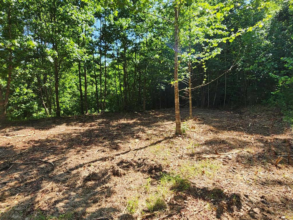 17.5 wooded acres on the Murray Road area of Parthenon within walking distance to the Little Buffalo River bridge on Church in the Valley Rd!  Newly graded road through the property goes up the hillside to a level building site with rural water, electric and FIBER OPTIC high speed internet run to the site!!  Could have views with a little clearing.  Seasonal creek located on the property that will have waterfalls when it's running, even with low rainfall it has springs along it that trickle and pool up.  Fossils found in this creek.  There's reported to be a small cave on this property near the creek.  Beautiful stand of timber and nice soil, remote, secluded location.  Only 20 minute drive to Jasper for most everything you'd need.
