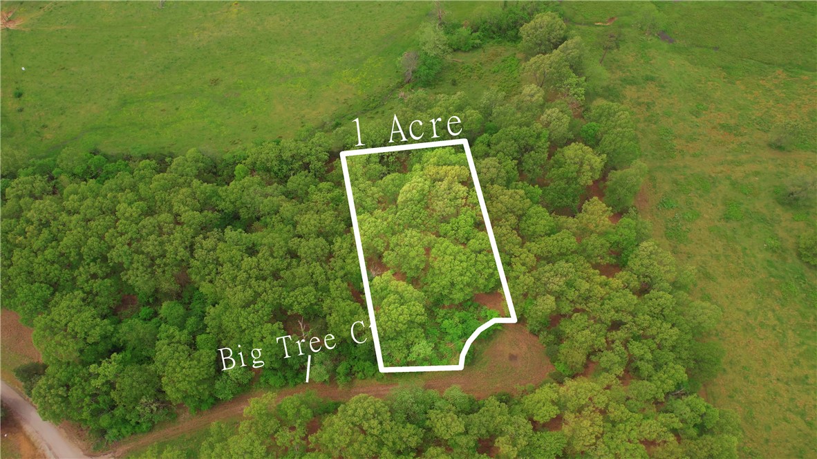 Tucked away at the end of a peaceful cul-de-sac just off Chaparral Ln in Elizabeth, AR, this secluded Ozark forest sanctuary is your ideal location for building in the sought-after Hand Cove region of Lake Norfork! 

This serene parcel provides easy access to Lake Norfork for all your water recreation and fishing adventures, plus it sits within an excellent deer and turkey corridor. Key features of this property include:

Ideal Construction Location - Several possible building locations offering complete privacy with an old gravel driveway to property's center. 

Infrastructure Nearby - Power lines accessible in the vicinity.

Versatile Construction Possibilities - Minimal building restrictions allowing manufactured homes (minimum 840 sq ft requirement.) Plus, no HOA! 

Good Access to Town - Just a 30-minute drive to Mountain Home. 

Details:
Lot size: 1 acre
Parcel number: 002-11125-043
County: Baxter
Town: Elizabeth
Coordinates: 36.331305, -92.202347