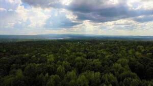 Just 2.3 miles from Piney Bay Campground and Boat Launch!! 20 wooded acres with road frontage on 2 sides, ready for your ideas. Build your dream home or an income-producing RV Park or camp ground - or do it all, the Choice is yours! All utilities at street Electric, Public Water, and natural Gas. Don't miss this opportunity! Call for your show today.