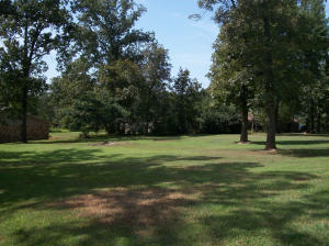 Dawn Heights - Residential
