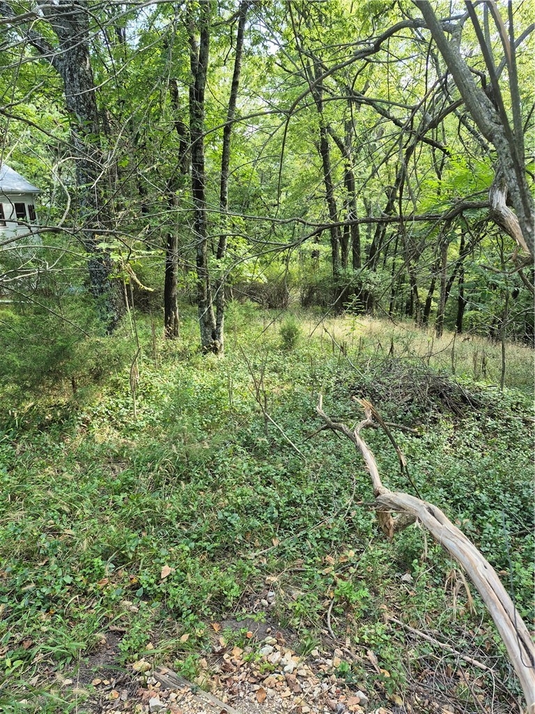 Owner has had a survey done showing these lots which is on this listing.  A roadway would need to be built down Fritz Street to get to the Lot 23.  Very wooded with trees and oodles of privacy as you slowly go down over the property.  Perfect property for the person who loves woods but loves to walk as you are just 10 minutes close to downtown.  Water would come from above the property with a sewer line being in the bottom of the hollow.  You will absolutely fall in love with the plans for an enchanted cottage.  Ideal for the person who is desiring privacy in a wooded fairyland.  A bit of Humor:  Since placing the sign on Fritz Street, a yellow Caution sign has been posted warning the public there might be "snakes" in the grass.  Use caution as snakes can be anywhere as you know but in town we do not have many of them due to our roads and noise.