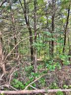 Ready to build that lake home? This is a great building lot in a lakeside subdivision. With some clearing there would be a phenomenal lakeview. Electric and Rural water are available.