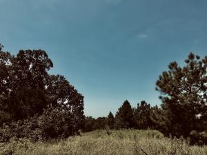 Beautiful land on McGuire Road in Lamar. Over 300 acres divided up into different tracts with multiple building sites. ***THIS PARTICULAR TRACT IN PINK/FUSHIA ON AERIAL PHOTO AND IS 16.25 ACRES*** Currently divided up anywhere from 8.15-18.92 acre tracts. However, can work with you on what you want and of course, the more you buy, the more you save! Currently working on separate/private driveways and house sites are roughed in. Each tract is private, abundant wildlife, AWESOME view, city water at McGuire rd, and in Lamar school district. Going to make some awesome home sites, in a beautiful location that isn't far from Clarksville/Lamar city limits, but secluded and with an amazing view of the Ozark mtns to the NW and 360 view of Johnson Co. in some areas. Highest elevation of 725ft