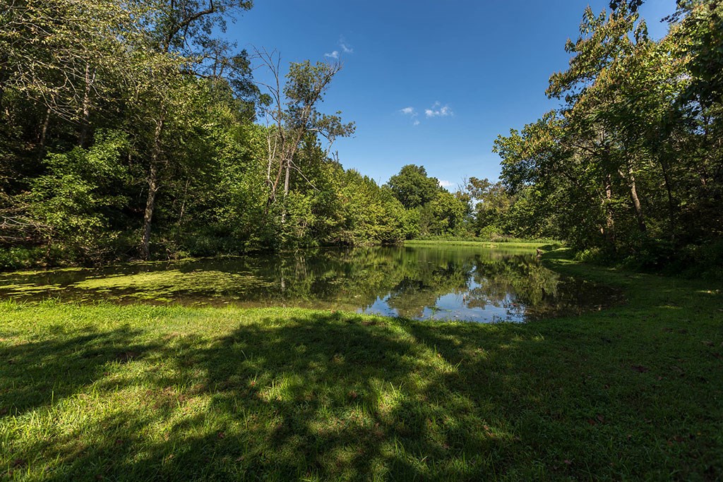 Spring Ridge - Land