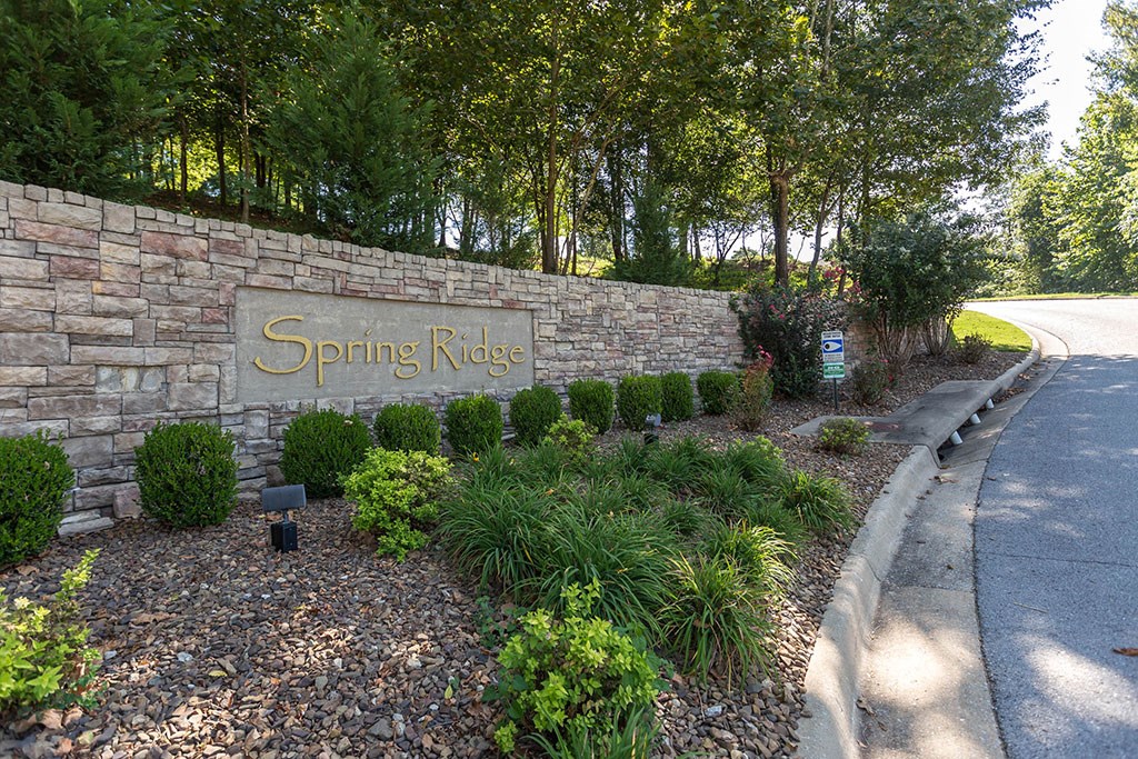 What better place to build your forever house? Springdale address but Bentonville schools (Central Park Elem, Bright Field Mid, Fulbright Jr. High and Bentonville High) in a well-established, centrally-located subdivision on a 3/4-acre lot located just before a cul-de-sac, and a nature trail just down the street that you can take the the subdivision's very own fishing pond. The lot has already been PERC tested so it is septic-ready. 15 mins to XNA, 20 to Walmart Home Office or Mercy, and 25 to UofA.