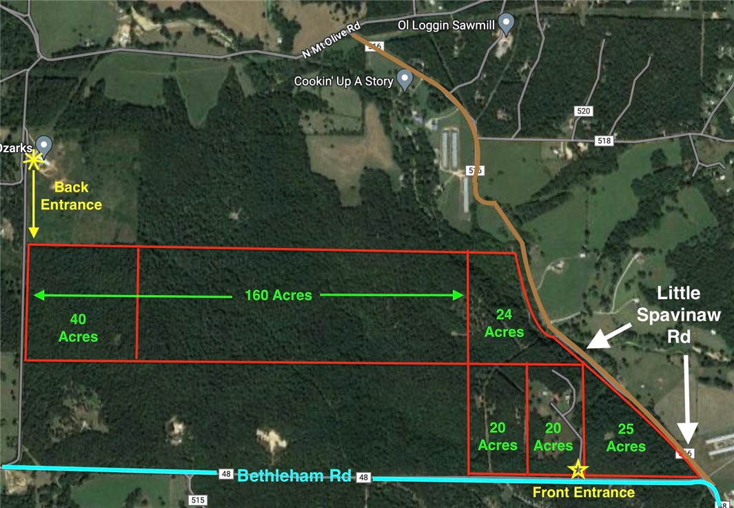 This beautifully wooded 160 acre parcel has tons of possibilities. There's two entry access points. One off Bethlehem Rd, and the other off Hidden Acres Rd. You can build your dream home and be very secluded or you can develop and subdivide into smaller parcels or lots. This property has a beautiful spring fed all weather creek running through it (Wildcat Creek). Owner will subdivide into 40 acre parcels if you'd like. Water and Gas are located at the north easement entry point. Electric is on site on the west end of the property. Septic will be required. This is part of a 248 Acre homestead that can be divided up many ways. See MLS: #1255060, #1236164, #1254923, #1255025, #1254918,
