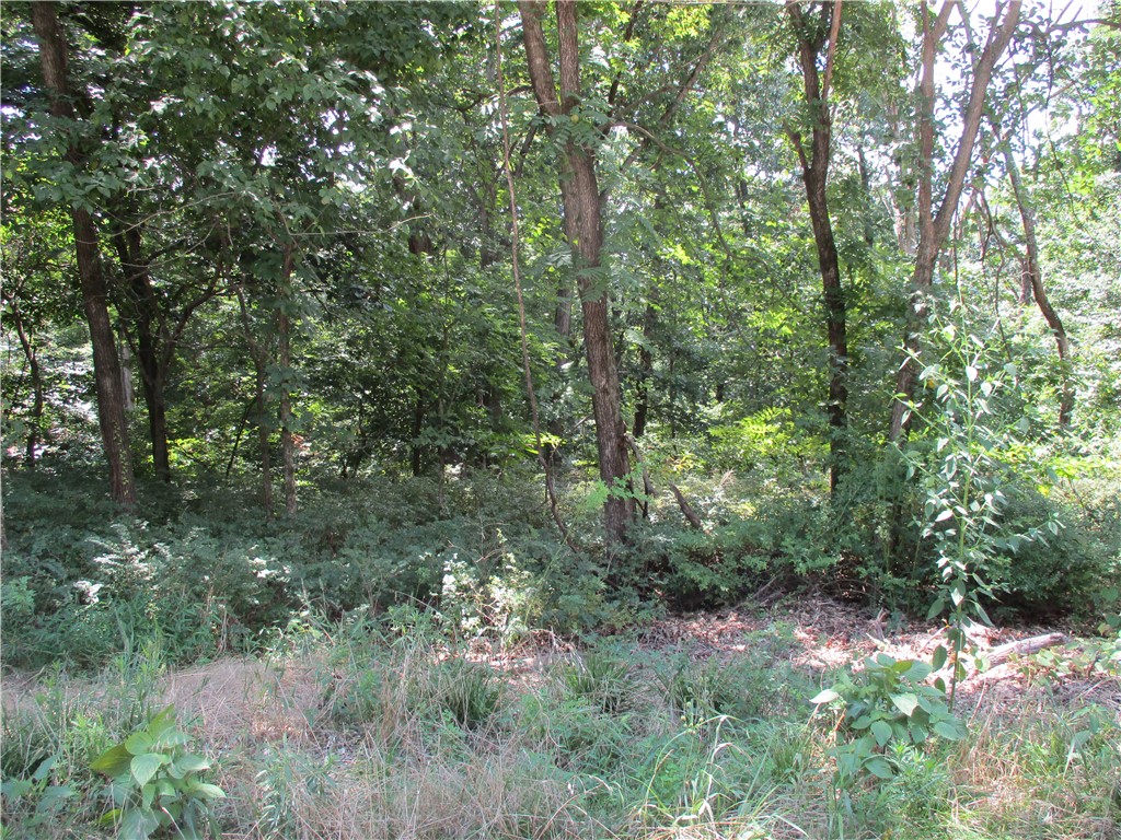 This large .41 acre lot gives you plenty of room to create a custom home in one of NWA fastest-growing recreational communities, this lot checks all the boxes. Located just 10 minutes from the new OZ Bike Park and only minutes from the Tunnel Vision Trailhead at the intersection of Chelsea Rd and Arthur Rd, this property is a perfect fit for mountain biking enthusiasts, outdoor adventurers, or anyone who wants to enjoy Bella Vista's world-class trail system. Enjoy all the NWA has to offer, including championship golf courses, multiple lakes, parks, hiking trails, tennis and pickleball courts, and easy access to Bentonville's vibrant downtown, restaurants, shopping and entertainment.  Don't miss this opportunity to secure an oversized homesite in the heart of one of the country's premier outdoor destinations!