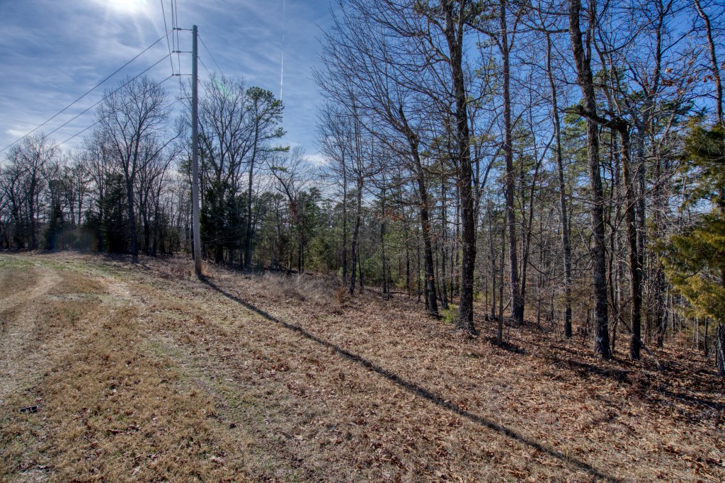 Red Fox Ridge - Land
