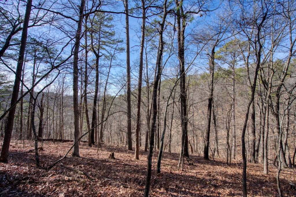 Red Fox Ridge - Land