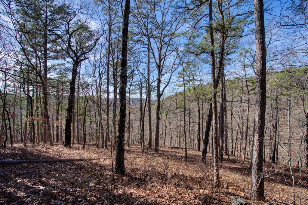 Red Fox Ridge - Land