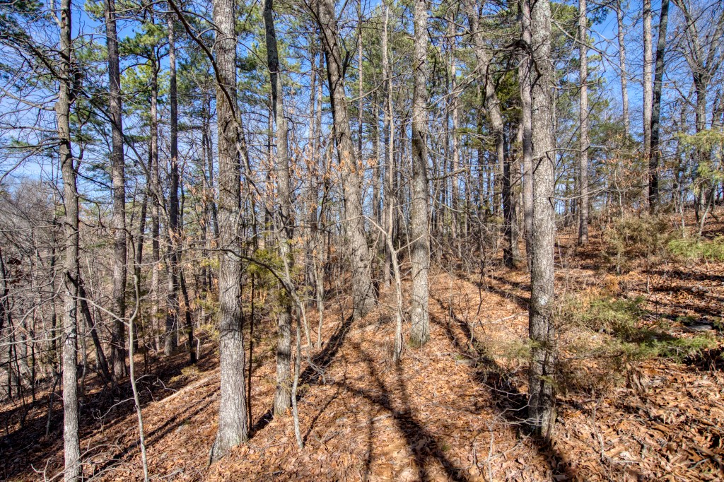 Red Fox Ridge - Land