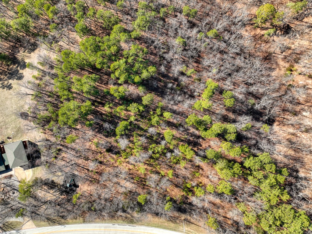 Red Fox Ridge - Land