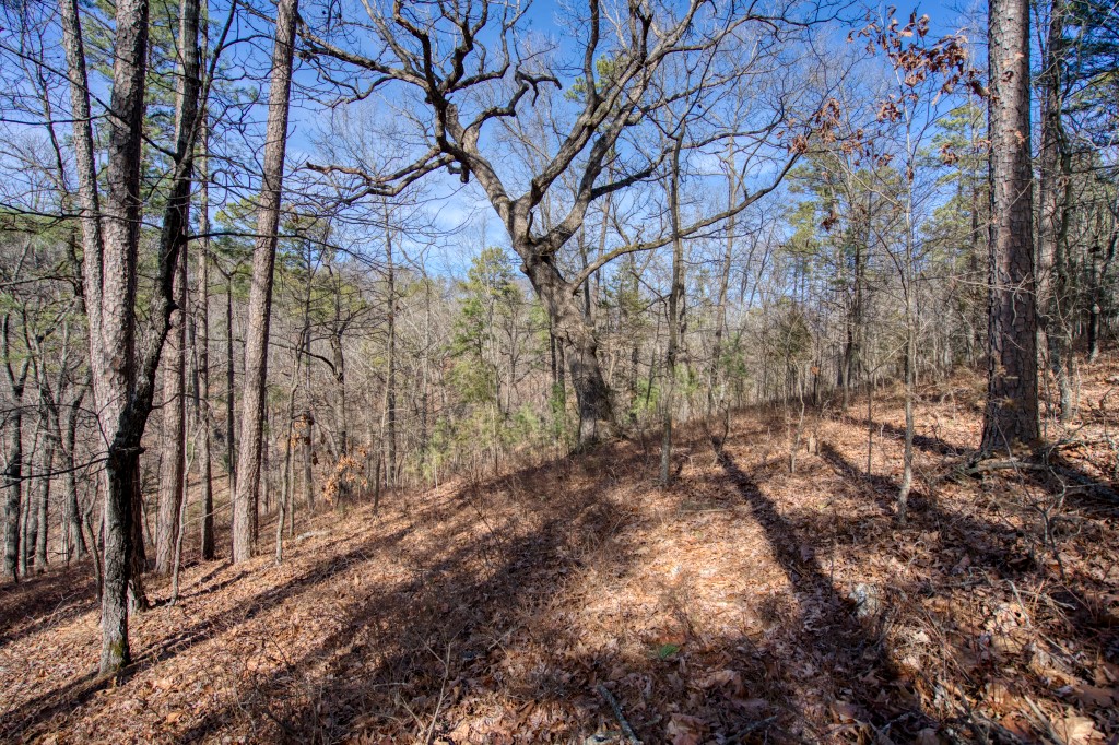 Red Fox Ridge - Land
