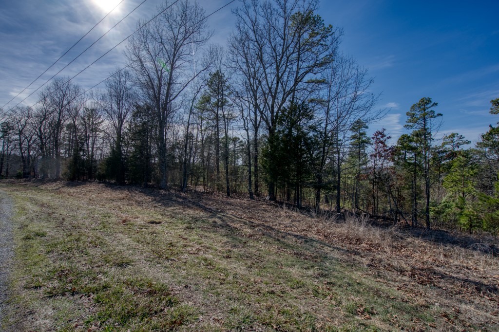 Red Fox Ridge - Land