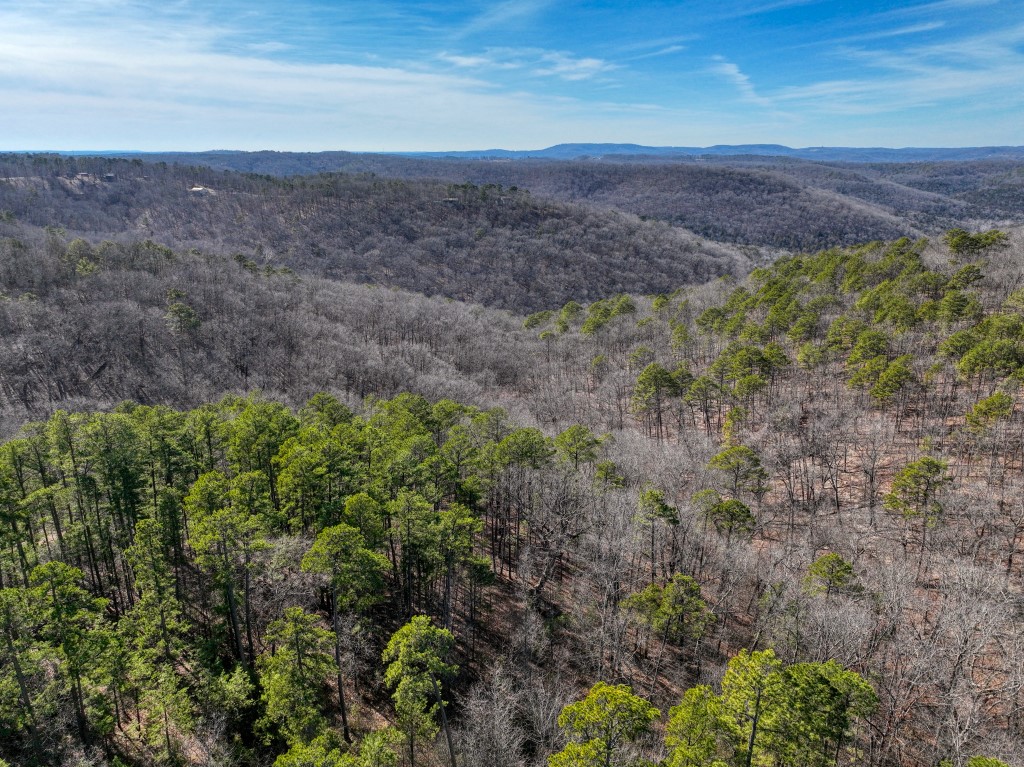 Red Fox Ridge - Land